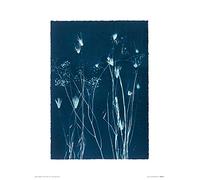 Art Group The Jo de Pear (Grasses I) Stampa Artistica, Carta, Multicolore, 30 x 40 x 1,3 cm