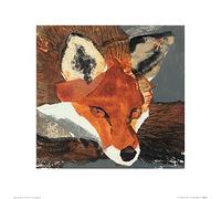 Art Group The Julia Burns (Fox) - Stampa Artistica 40 x 40 cm, Carta, Multicolore, 40 x 40 x 1,3 cm
