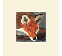 Art Group The Julia Burns (Fox) - Stampa montata 30 x 30 cm, Carta, Multicolore, 30 x 30 x 1,3 cm