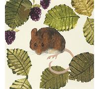 Art Group The Julia Burns - Stampa su Tela, in Cotone, Multicolore, 30 x 30 x 1,3 cm