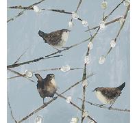 Art Group The Julia Burns Wrens Stampa su Tela, Cotone, Multicolore, 1,8 x 30 x 30 cm