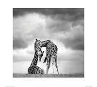 Art Group The Marina Cano (Tenderness) - Stampa Artistica 60 x 60 cm, Carta, Multicolore, 60 x 60 x 1,3 cm