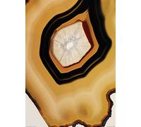 Art Group The Michael Banks (Sirius) - Stampa Artistica 50 x 70 cm, Carta, Multicolore, 50 x 70 x 1,3 cm