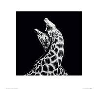 Art Group The Nicolas Evariste (in Love) - Stampa Artistica 40 x 40 cm, Carta, Multicolore, 40 x 40 x 1,3 cm