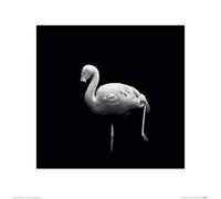 Art Group The Nicolas Evariste (Wanna Play Croquet) - Stampa Artistica, 40 x 40 cm, Carta, Multicolore, 40 x 40 x 1,3 cm