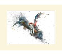 Art Group The Sarah Stokes (Eric in Flight) - Stampa montata 30 x 40 cm, Carta, Multicolore, 30 x 40 x 1,3 cm