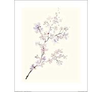 Art Group The Summer Thornton (Gentle Breeze II) - Stampa Artistica 40 x 50 cm, Carta, Multicolore, 40 x 50 x 1,3 cm