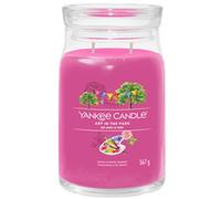 Yankee Candle Candela profumata Praline & Birch 567 g variante Art In The Park
