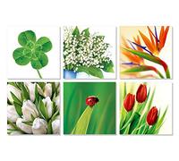 ART NUVO Biglietti con motivi floreali n. 02 - Set di 6 biglietti, 150 x 150 mm, bellissimi biglietti con buste senza testo