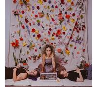 Art Of Losing My Reflection