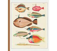 Art. On Cover; Vintage Fish Composition Notebook; Vintage Animal Pattern Notebook; Biology/Zoology Notebook For Collage