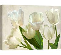 ART PRINT CAFE' - Quadri fiori - Stampe floreali su tela - Luca Villa, Tulipani Bianchi - 70x50 cm