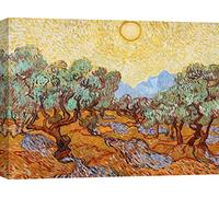 ART PRINT CAFE' Van Gogh, Gli Ulivi, 80x60