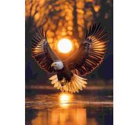 Art puzzle - Puzzle Ali del Sole - 1000 Pezzi