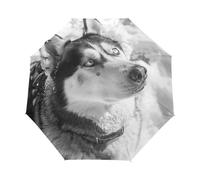 Arte Cane Husky Bianco Nero Ombrello Pieghevole Automatico Ombrelli Antivento Protezione UV da Viaggio per Bambini Ragazzi Ragazze