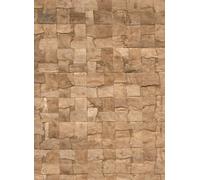 Arte Carta da parati Alba - Bark