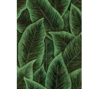 Arte International Carta da parati Bird Of Paradise - Emerald