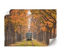 Arte Murale 29,7x21 cm | Formato A4 | Tram autunnale