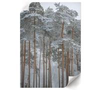 Arte Murale 42x59,4 cm | Formato A2 | Inverno nella foresta