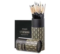 ARTEGRIA Set di 17 pennelli in miniatura con punte sottili, manico ergonomico, pennello a pugnale per modellismo su piccola scala e pittura con i numeri, per adulti, acrilico, acquerello, olio, guazzo