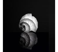 Artemide Mendori Lampada da Tavolo - Promo