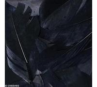 Artemio 3 G Piume Liscio, Nero