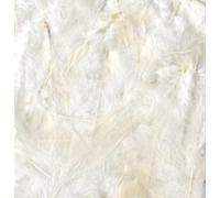 Artemio ebouriffées, Piuma, Bianco, 11,5 x 1 x 31 cm