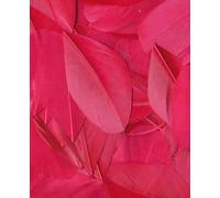 Artemio Molle-Fucsia bustina 3 g-lisciato LG Circa 6 cm