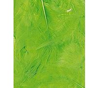 Artemio Piume bustina Verde 3 g-Ébouriffées LG 8 a 12 cm-Dekovögel