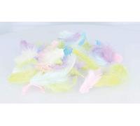 Artemio Piume Colorate Arcobaleno, 10 g, 10 g