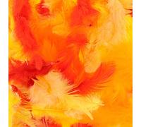 Artemio Piume, no, normale