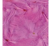 Artemio Piume, Rosa, 3g, Ébouriffées-LG 8 a 12 cm-Dekovögel