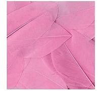 Artemio Piume, Rosa, 3g, Levigato-Large Circa 6 cm