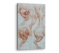 Artenor Quadro Leonardo da Vinci Studi delle zampe posteriori del cavallo, 40 x 60 cm - Made in Italy, Quadri Moderni Soggiorno, Camera da Letto, Cucina, Poster da Parete, Decorazioni Casa