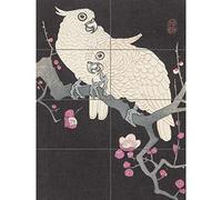 Artery8 Arteriy8 Ohara Koson Two Cockatoo And Plum Blossom Painting XL Poster gigante a pannello (8 sezioni)