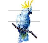 Artery8 Bird Cockatoo Painting XL Giant Panel Poster (8 Sections) Uccello Pittura Manifesto