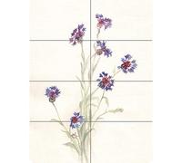 Artery8 Flower Cornflowers Watercolour XL Giant Panel Poster (8 Sections) Fiore Acquerello Manifesto