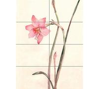 Artery8 Flower Zephyranthes Watercolour XL Giant Panel Poster (8 Sections) Fiore Acquerello Manifesto