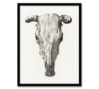 Artery8 Jean Bernard Skull of a Cow Pencil Drawing Framed Wall Art Print Home Décor A4
