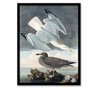 Artery8 John James Audubon Birds of America Herring Gull Framed Wall Art Print Home Décor A4