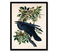 Artery8 John James Audubon Birds of America Raven Framed Wall Art Print Home Décor A4