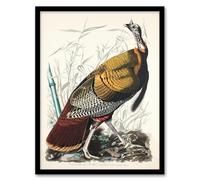 Artery8 John James Audubon Birds of America Wild Turkey Framed Wall Art Print Home Décor A3