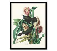 Artery8 John James Audubon Purple Grackle Crow Blackbird Framed Wall Art Print Home Décor A3