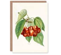 Artery8 John Wright Art Card Vintage Illustration of Bigarreau Cherries