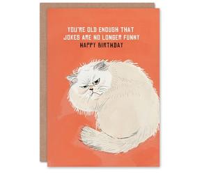 Artery8 Jokes Not Funny Old Age Joke Grumpy Cat Lover Blank For Him Or Her Art Birthday Card
