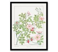 Artery8 Maurice Pillard Verneuil Wild Rose Flower Framed Wall Art Print Home Décor A4