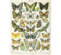 Artery8 Millot Encyclopedia Page Butterflies Moths Unframed Wall Art Print Poster Home Decor Premium Pagina Parete Manifesto Casa