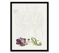 Artery8 Model Book of Calligraphy Ladybird and Wild Pansy Framed Wall Art Print Home Décor A4