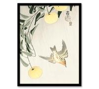 Artery8 Ohara Koson Cuckoo In Early Summer Rain Framed Wall Art Print Home Décor A4