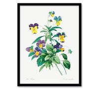 Artery8 Redoute Vintage Wild Pansy Flower Illustration Framed Wall Art Print Home Décor A3